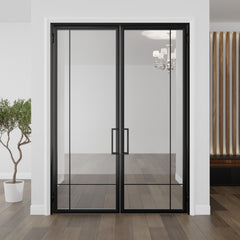 Modern Double Door